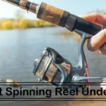 spinning-rod-and-reel-site